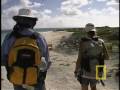 Monk Seal Mystery - Northwest Hawaiian Islands Monk Seal Mystery - Northwest Hawaiian Islands