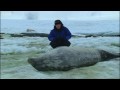 Weddell seals in Antarctica - Deep into the Wild - BBC 