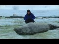 Weddell seals in Antarctica - Deep into the Wild - BBC Weddell seals in Antarctica - Deep into the Wild - BBC
